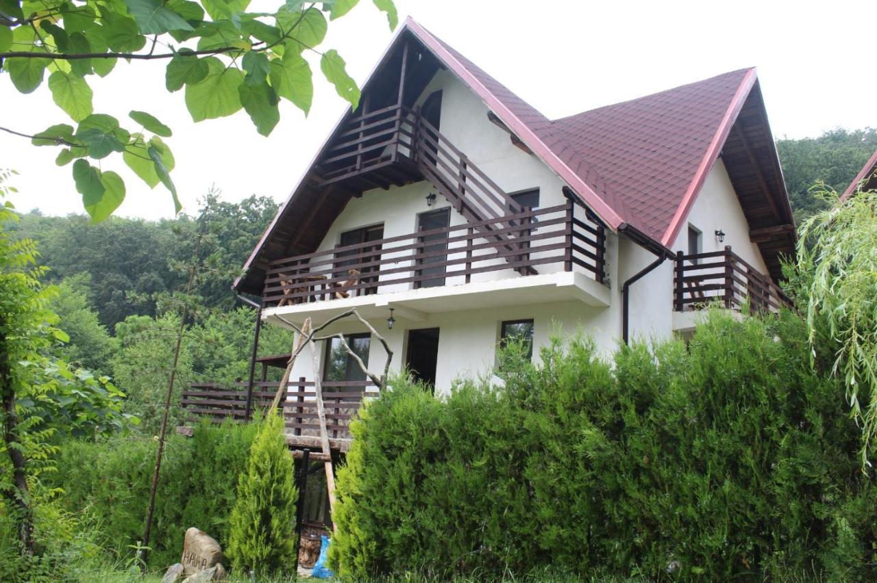 Havva Hotel Călimăneşti Exterior foto