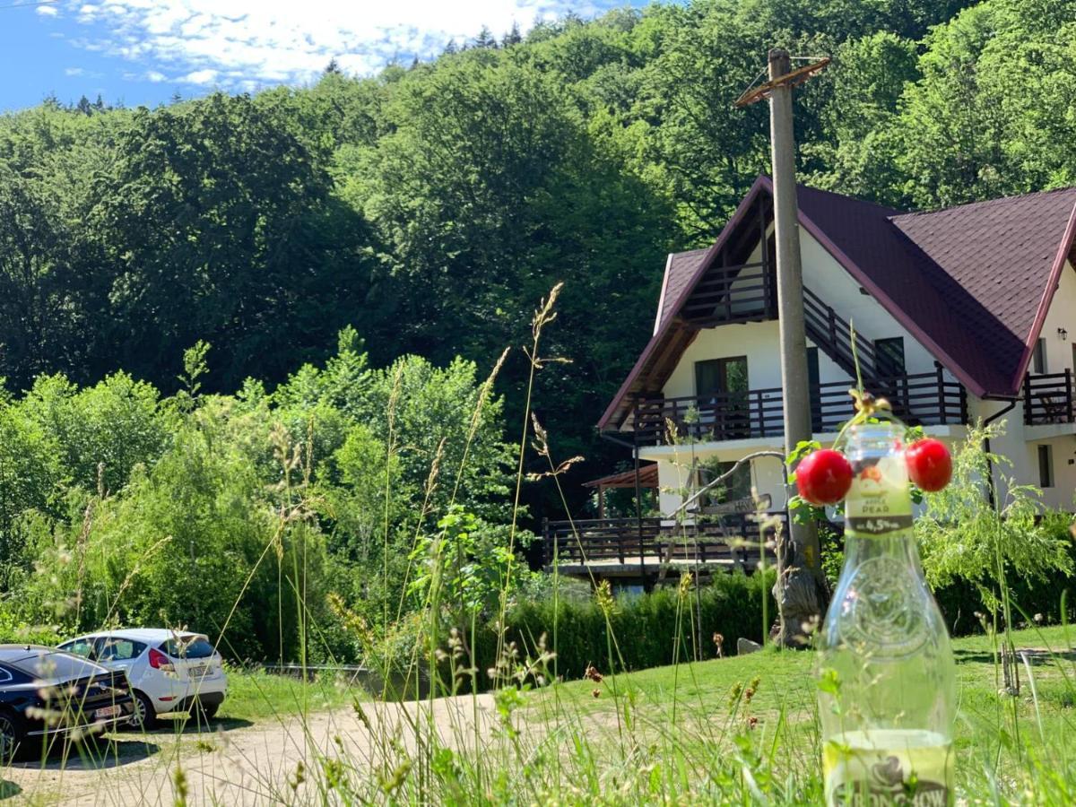 Havva Hotel Călimăneşti Exterior foto